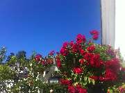 Ratzeburg Ferienwohnung mit Seeblick - 14