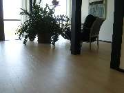 Raumausstattung Tharandt - Designboden