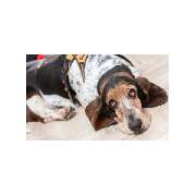 Rechtsanwaltskanzlei Iris Reifenrath-Rabe - Fachanwältin für Familienrecht - GALLERY