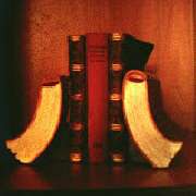 Rechtsanwaltskanzlei Kai Müller - Rechtsbeistand