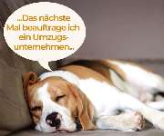 Redas Logistics UG - GALLERY