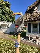 Reethaus Svantevit - Ferienhaus - GALLERY