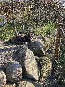 Reethaus Svantevit - Ferienhaus - GALLERY