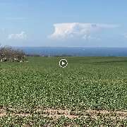 Reethaus Svantevit - Ferienhaus - GALLERY