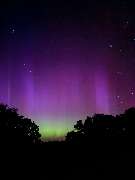 Reethaus Svantevit - Ferienhaus - GALLERY