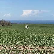 Reethaus Svantevit - Ferienhaus - GALLERY