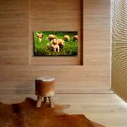 REFUGIUM.BETZENSTEIN | BIO.DESIGN.FERIENWOHNUNGEN - 6