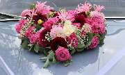 Regina's Blumenladen - GALLERY