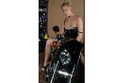 Reifen Brandt - GALLERY