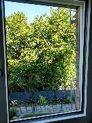 Reinheit & Sauberkeit GmbH Gebäudereinigungsservice Reinigungsunternehmen - GALLERY