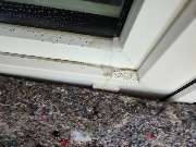 Reinheit & Sauberkeit GmbH Gebäudereinigungsservice Reinigungsunternehmen - GALLERY