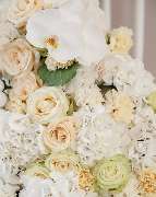 Reinweiss Hochzeiten - 9