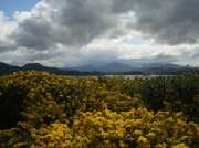 Reisebüro Lüttje Törn - GALLERY