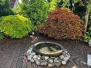 Reisegärten Gartengestaltung - GALLERY