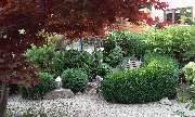 Reisegärten Gartengestaltung - GALLERY
