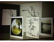 Reisinger Ursula - GALLERY