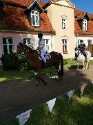 Reiterhof Daugzin C. Edel & E. Berkhahn GbR - 5