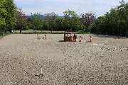 Reitschule Equo Deluxe - GALLERY