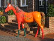 Reitsport Auffarth - 2
