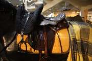 Reitsport Frölich GmbH - 5