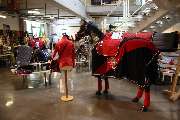 Reitsport Frölich GmbH - 6