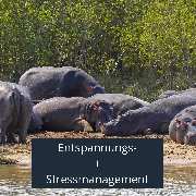 Reloaded Massagen Prävention Coaching - GALLERY