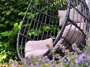 RENDEZVOUS - GALLERY