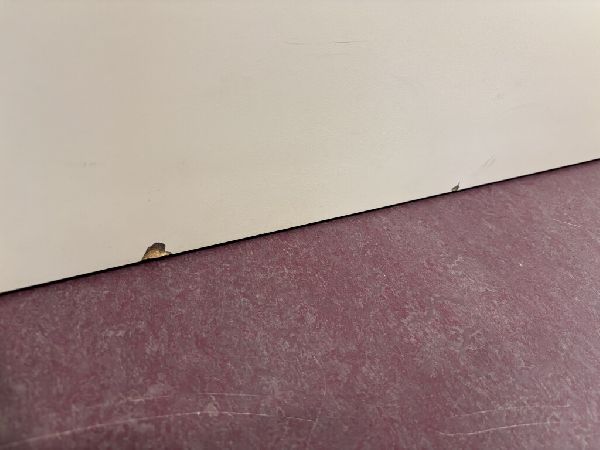 Renew Masters Oberflächeninstandsetzung - IMG_0650 …