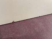 Renew Masters Oberflächeninstandsetzung - IMG_0650.jpeg