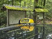 Renna Taxi Tübingen - Renna Taxi Tübingen im Naturpark Schönbuch – Fahrten in die Natur und Ausflugsziele