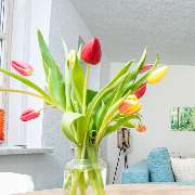 Rennsteig Apartment Ruhla - GALLERY