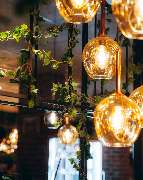 Restaurant Hanedan - GALLERY