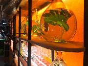 Restaurant La Tortue I Tapas Köln - Restaurant La Tortue I Tapas Köln
