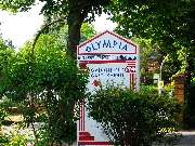 Restaurant Olympia - GALLERY