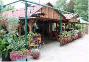 Restaurant Olympia, Ute Witte - GALLERY