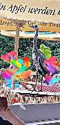Restaurant Schwedlersee - 8