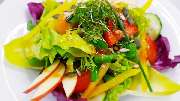 Restaurant Tilia - GALLERY