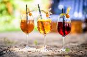 Restaurant Tilia - GALLERY
