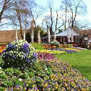 Restaurant und Eiscafé Rossini - GALLERY