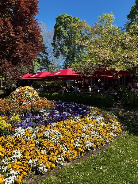 Restaurant und Eiscafé Rossini - GALLERY