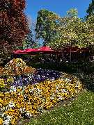 Restaurant und Eiscafé Rossini - GALLERY
