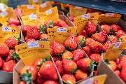 REWE André Schäfer - 05_rewe_obst-gemuese_2
