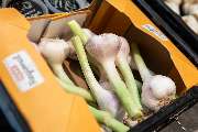REWE André Schäfer - 11_rewe_obst-gemuese_4