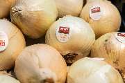 REWE André Schäfer - 26_rewe_obst-gemuese_31