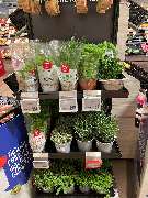REWE - GALLERY
