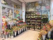 REWE - REWE Kleinhadernerweg 6 Gräfelfing Blumen