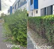 Rhein-Main Facility Service UG - Heckenschnitt