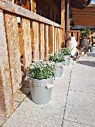 Rheinhessen-Alm - Eike Vieten Gastronimiedienstleister - 10