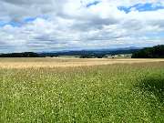 RhönRanch - 1