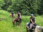 RhönRanch - 2